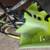 Monster Bike For Parts. 24 thumbnail