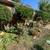 Baptist's Landscaping! 804-617-8838 licen 12 thumbnail