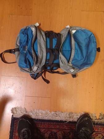 Dog backpack and booties 1