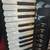 Professional Accordion SERENELLINI 9 thumbnail