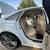 2015 Audi A6 quattro PREMIUM PLUS 3.0T SuperCharger *3 owners* 17 thumbnail