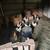 Leghorn hens 2 thumbnail