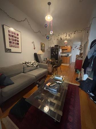 $2,875 / 2br - Two bed in the heart of Bushwick, L train, Morgan stop (Bushwick)63874742447875121