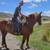7 yr old half draft gelding 1 thumbnail