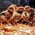 Baby Dark Cornish chicks 8 to 10  weeks old 4 thumbnail