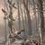 Wildlife Wall painting 8 thumbnail