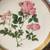 The Royal Horticultural Signature Edition  Rose's plate 3 thumbnail