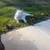 GREAT PYRENEES 5 thumbnail