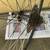 700c Rear Wheel 2 thumbnail