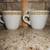 Set Of 2 Vintage Anchor Hocking Shenango China Cups 2 thumbnail