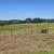 Cattle ag fencing 2 thumbnail