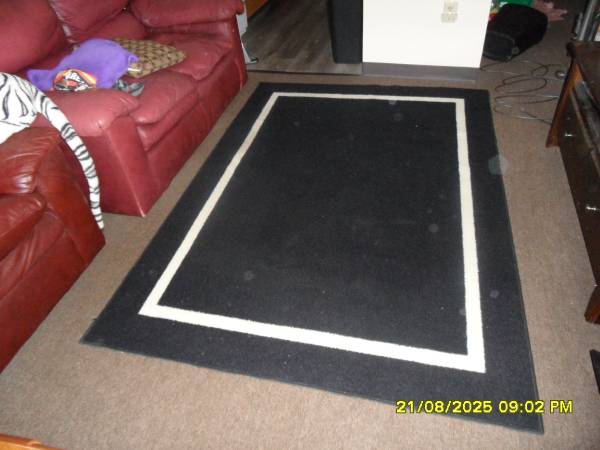 5 X 7  BLACK AND WHITE ACCENT RUG 1