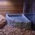 ball python and tank $150 8 thumbnail