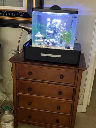 Beautiful fish tank included stand and nice 5 fish and accessories 1