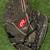 Baseball Softball Gloves $40 Ea. 7 thumbnail