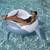 New in box Giant SHARK Pool Float 1 thumbnail