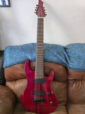 Custom 8-String Guitar 1