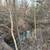 60 Acres in Meherrin, VA 20 thumbnail