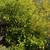 One Bedroom Available At Three Bedroom House - Near UC Berkeley 22 thumbnail