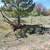 1920/30's Horse Drawn Antique Seeder / Grain Disc Drill 1 thumbnail