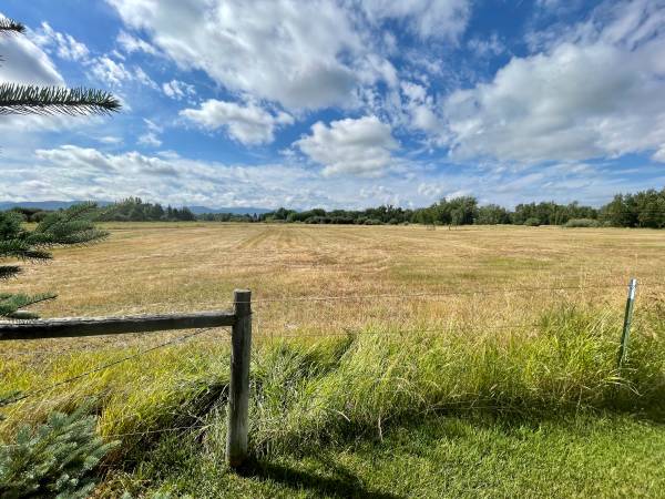 Private Pasturing Available for 4-6 Horeses 1