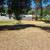 Weed wacking shasta county 14 thumbnail