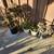 Plants 2 thumbnail