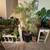 Plants w/Decorative Containers, Staging for Residential or Commercial 22 thumbnail