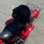 2013 HARLEY DAVIDSON FLHTCU ULTRA CLASSIC    FINANCING AVAILABLE 13 thumbnail