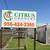 Citrus Trees 2 Feet Tall $20 - More Than 5000 Trees To Choose From $20 19 thumbnail
