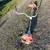 Stihl chainsaws and weedeater 4 thumbnail