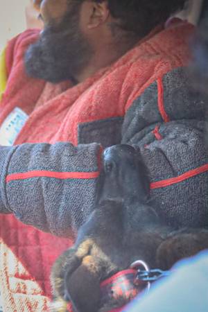 Boarding and training 1