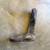 Nissan Xterra Front Bumper Parts 5 thumbnail