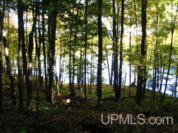 $73,500 2 Acres County Line Lake MLS 50175787 (Watersmeet)64151610098946124