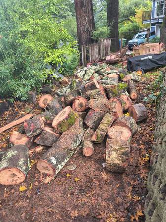 Mobile firewood splitting chipping stump grinding trimming tree work emergency t 1