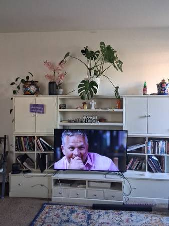 Moving sale (downsizing) 1