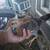 Five pullets barnyard mix chicken chicks 2 thumbnail