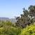 Elegant Presidio Heights condo - feels like a house! 2375sf! ~ J.Wavro 11 thumbnail