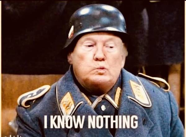 Stupid Krasnov Traitor Trump 1