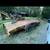1967 Paco Trailer 1 thumbnail