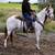 Grade Paint Gelding 6 thumbnail