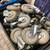 caster wheels 4 thumbnail