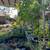 *Plant & Tree Sale* 1 thumbnail