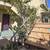 Large Beautiful Sun Filled Duplex UPPER 14 thumbnail