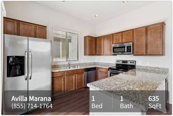$1,550 / 1br - 635ft2 - Happiness awaits you! 1 bed, 1 bath, 635 sqft! (Tucson - 5 Minute Drive to Wildwood Park)63674809354753121