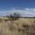1 Acre Lot of Land in Sun Sites (Sunsites), AZ 85625 7 thumbnail