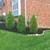 Brick paver repair /pressure wash 2 thumbnail
