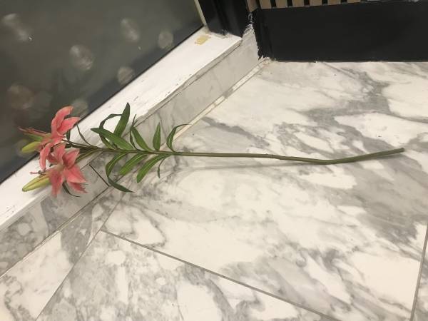 Lirio de seda naranja artificial de tallo largo realista - $8 (Park Slope)63470096027137123