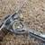 Ludwig vintage snare drum stand 8 thumbnail