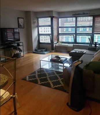 $2,450 / 1br - Short-Term, Furnished, Dog-Friendly One Bedroom - Great for Travel RNs (River North)63898732385666122